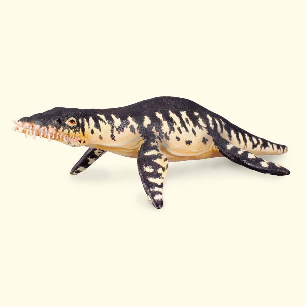 CollectA-Dinosaur-Liopleurodon