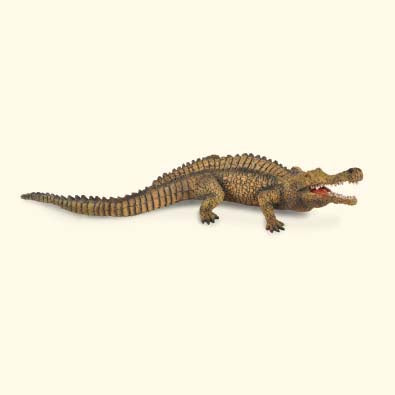 CollectA-Dinosaur-Sarcosuchus