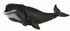 CollectA - Ocean - Bowhead Whale