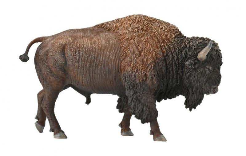 CollectA - Wildlife - American Bison