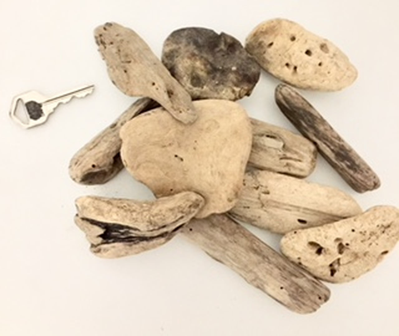 PAPOOSE Loose Parts - Driftwood Small - Pack of 10