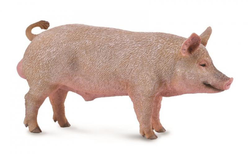 CollectA - Farm - Pig Boar