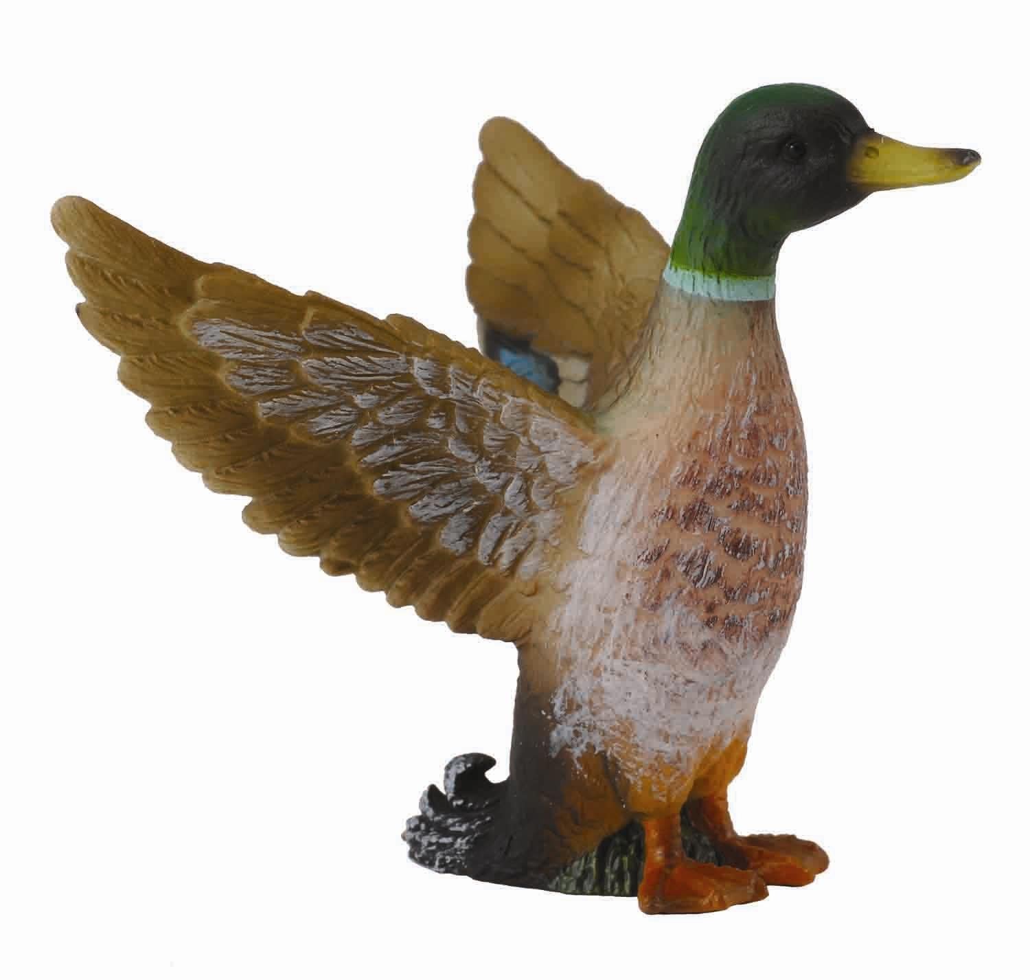 CollectA - Wildlife - Mallard Duck - Male