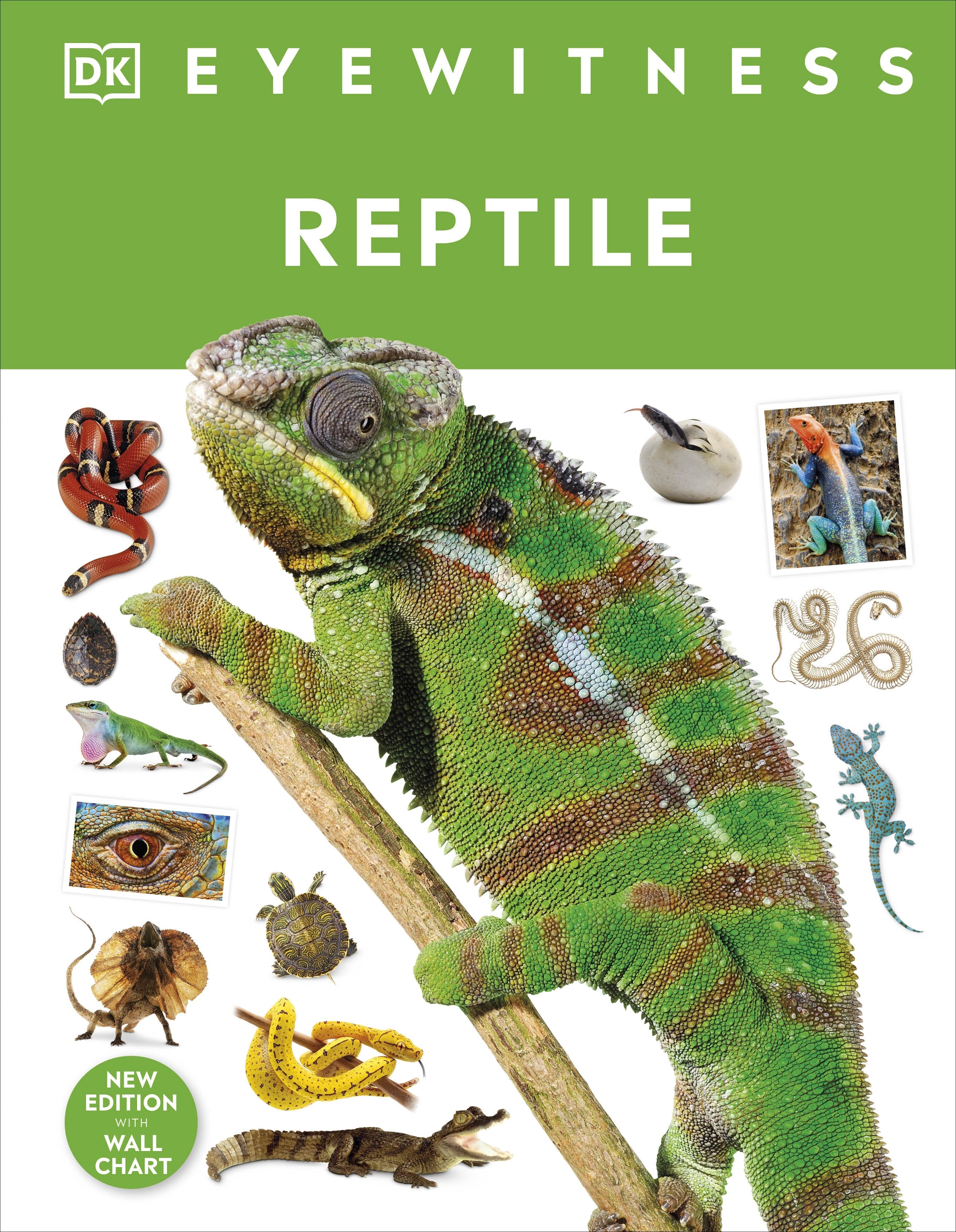 Reptiles - DK Eywitness