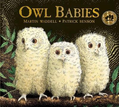 Owl Babies 25th Anniversary Edition - Board