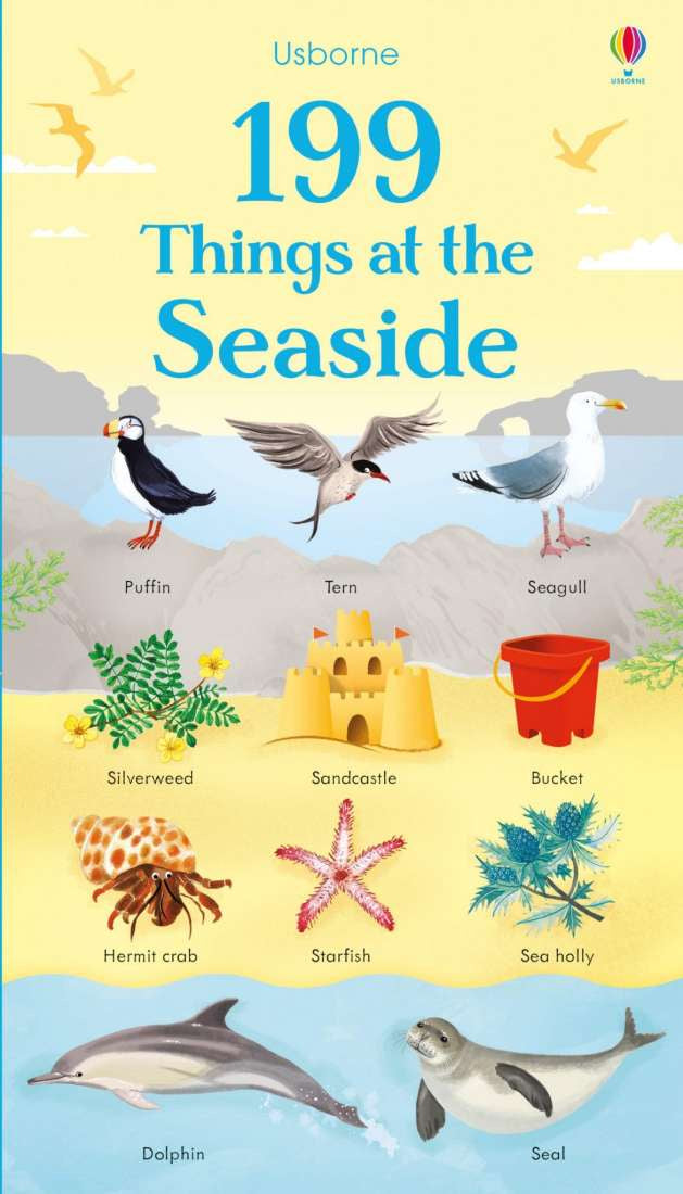 199 THINGS AT THE SEASIDE - Board Book