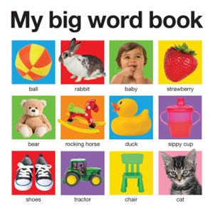 My Big Word Book - Board Book