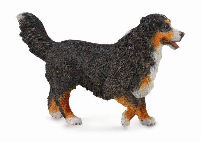 CollectA - Dog - Bernese Mountain Dog