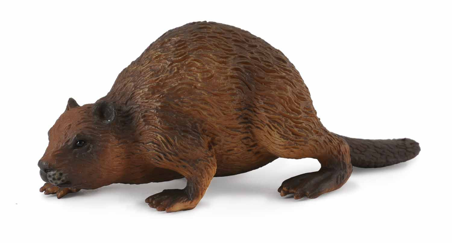 CollectA - Wildlife - Beaver