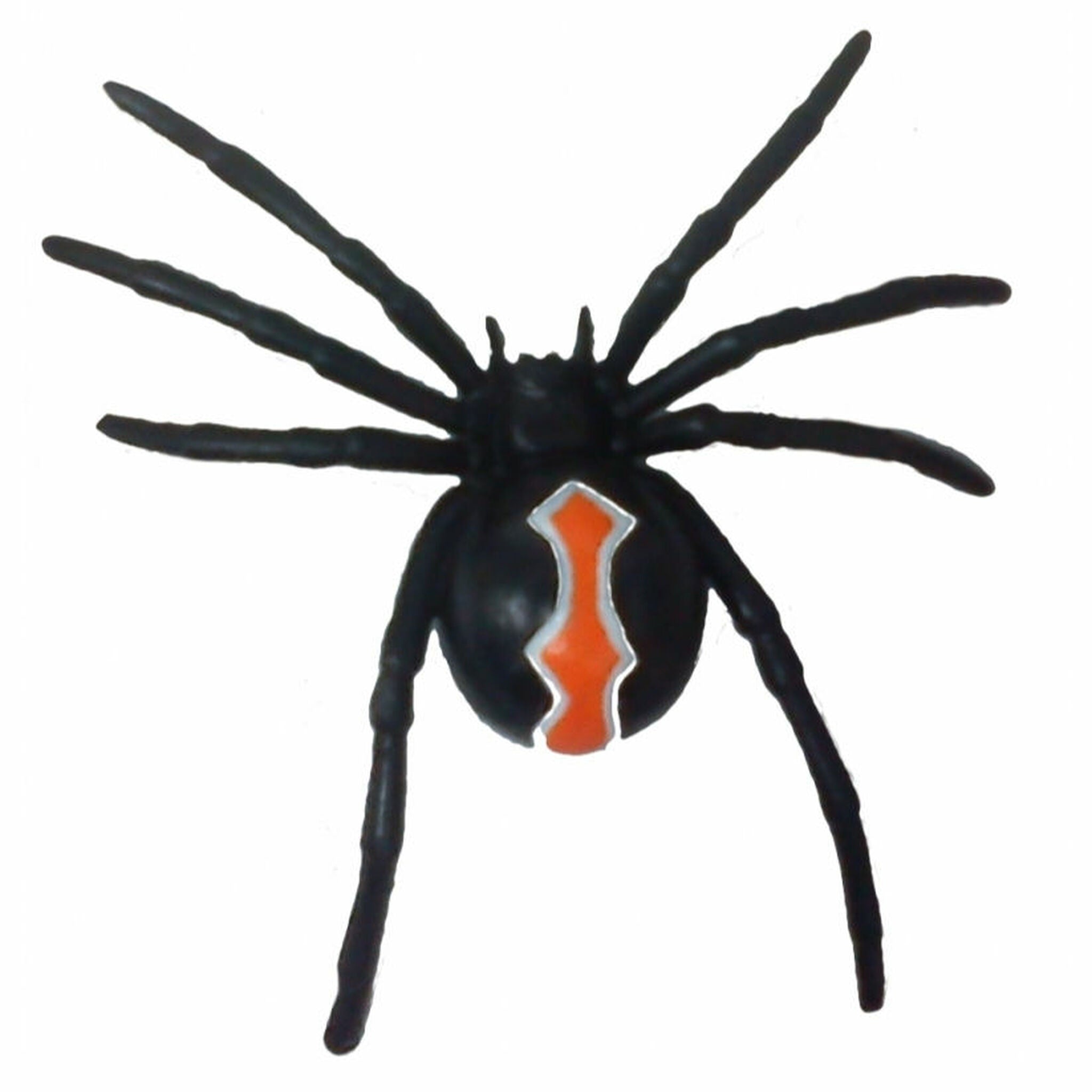 Animals of Australia - Small Katipo Spider