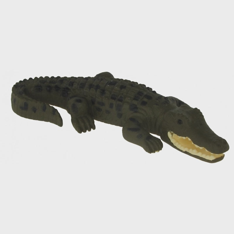 Animals of Australia - Small Crocodile