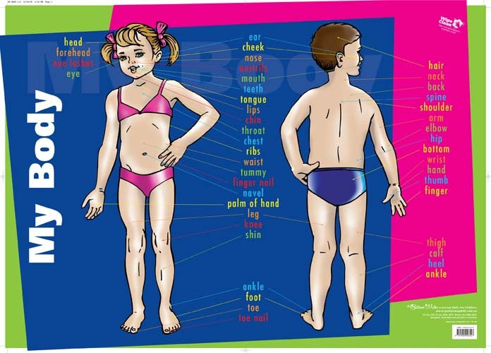 Gillian Miles - My Body Child Wall Chart