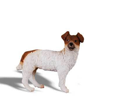 CollectA - Dog - Jack Russell Terrier