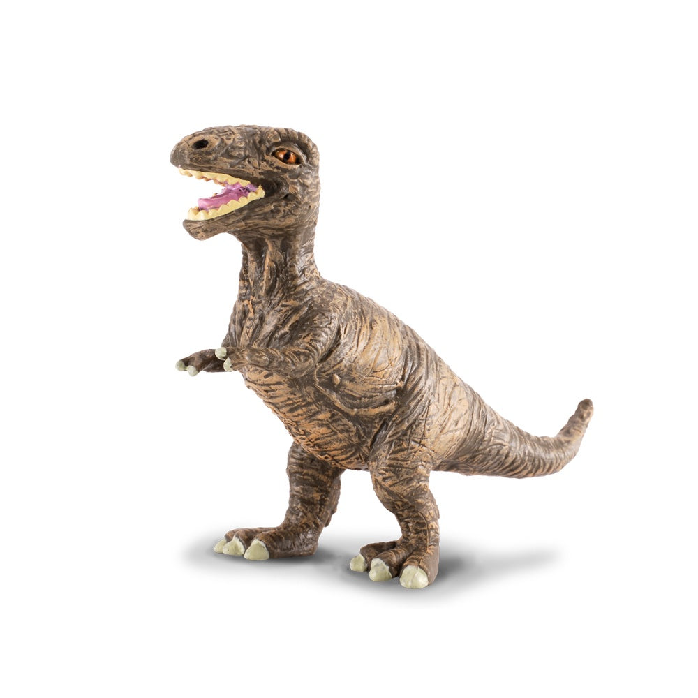 CollectA - Dinosaurs - T-Rex Baby