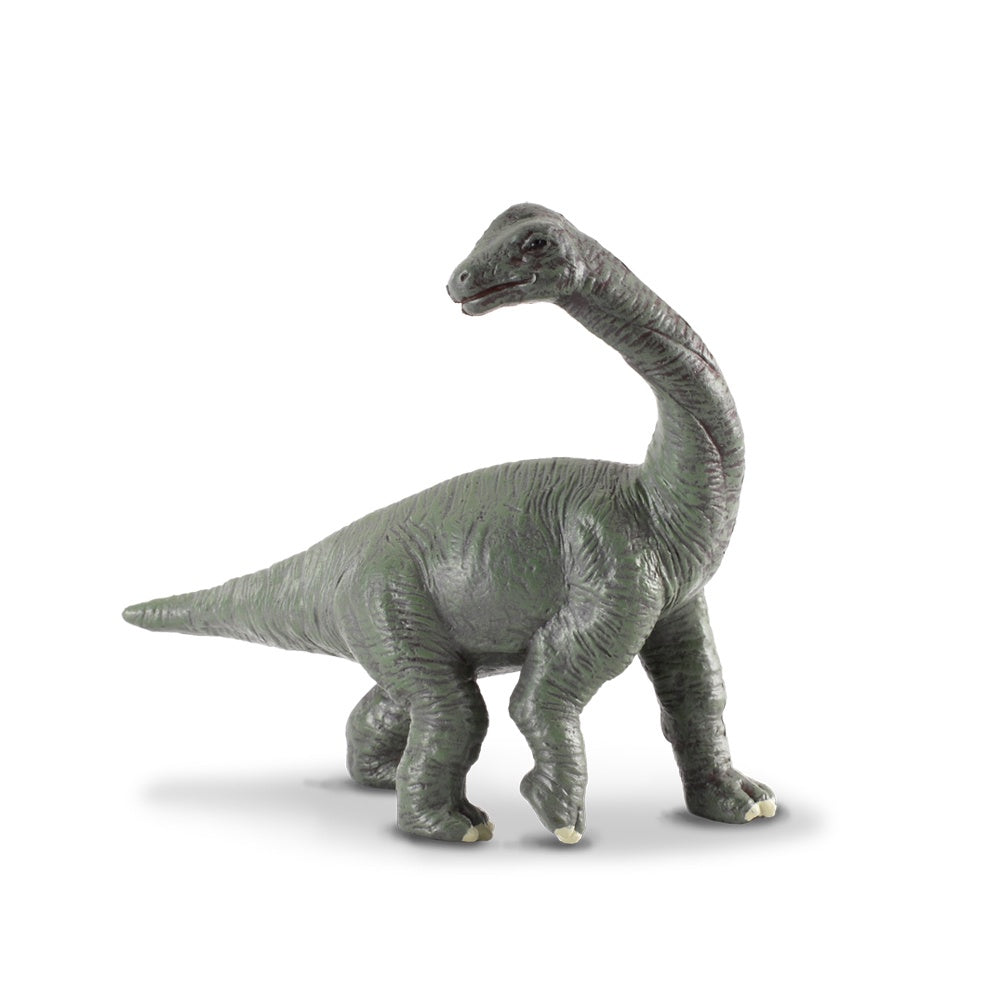 CollectA - Dinosaurs - Brachiosaurus Baby