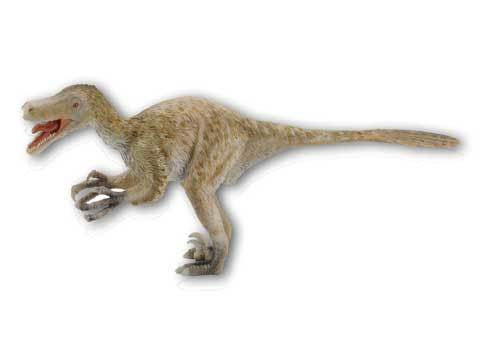CollectA-Dinosaur-Velociraptor - Deluxe 1:6 Scale
