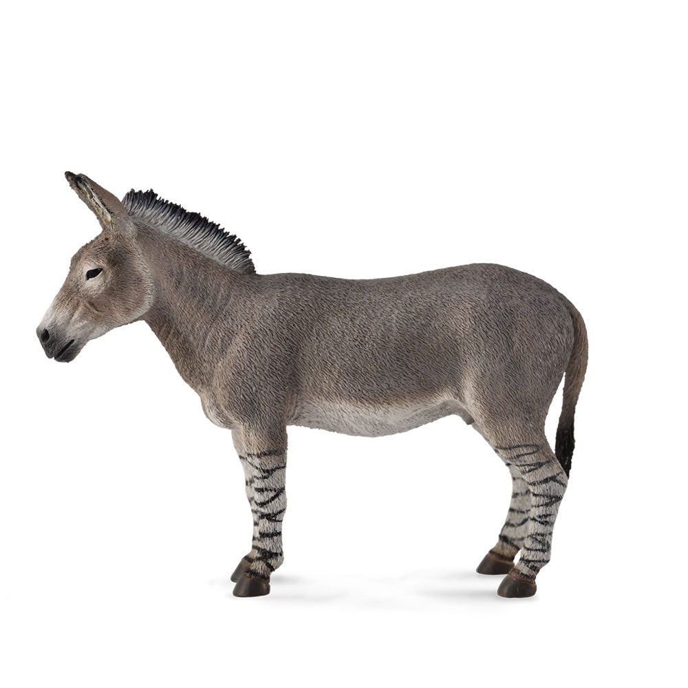 CollectA - Donkey -African Wild Ass