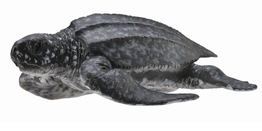 CollectA - Ocean - Leatherback Sea Turtle