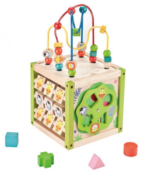 EVEREARTH My First 5in1 Activity Cube