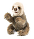 FOLKMANIS HAND PUPPETS Sloth, Baby