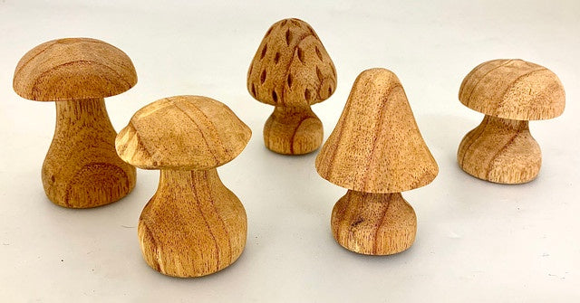 PAPOOSE - Mushrooms Hand Carved - Set of 5