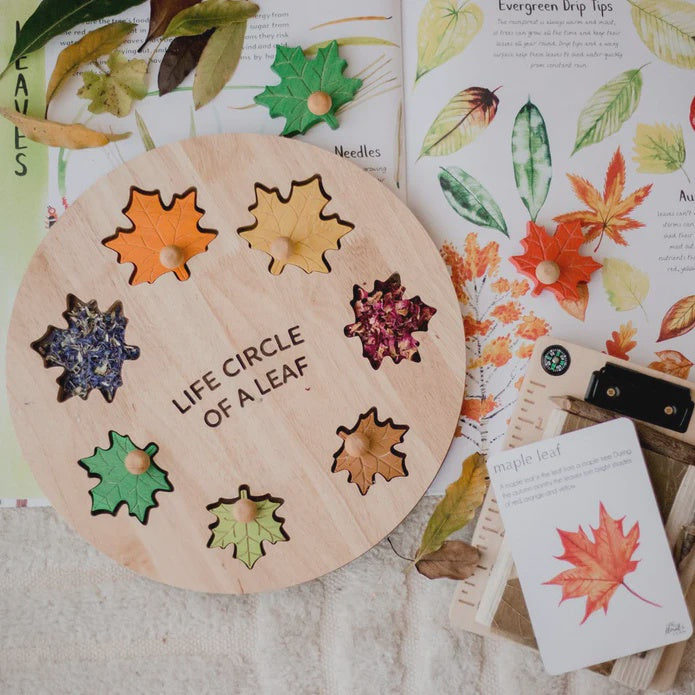 Qtoys - Life Cycle Leaf - Wooden Puzzle
