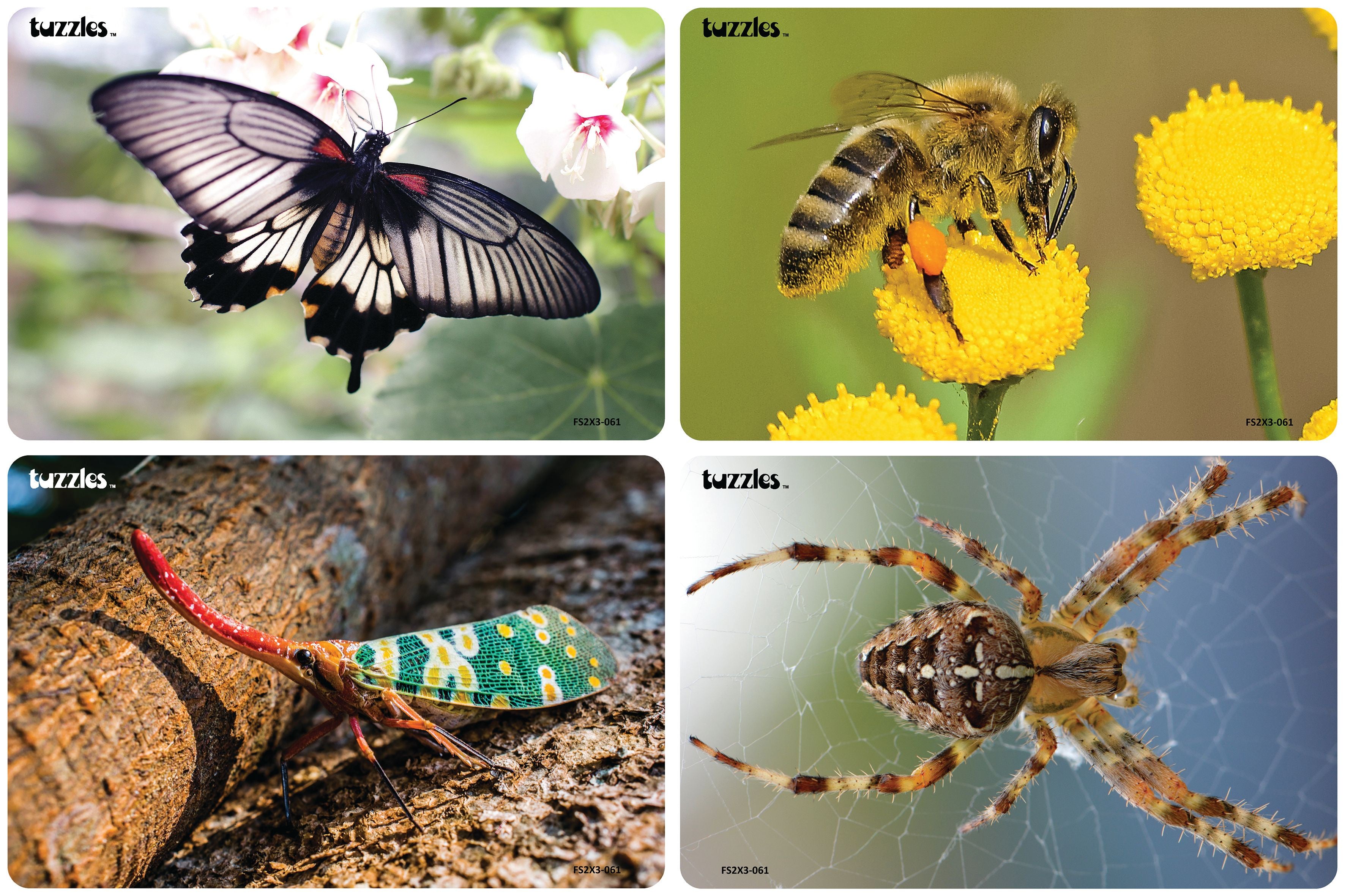 Tuzzles  Insects: Mini Beasts  Set of 4  Progressive
