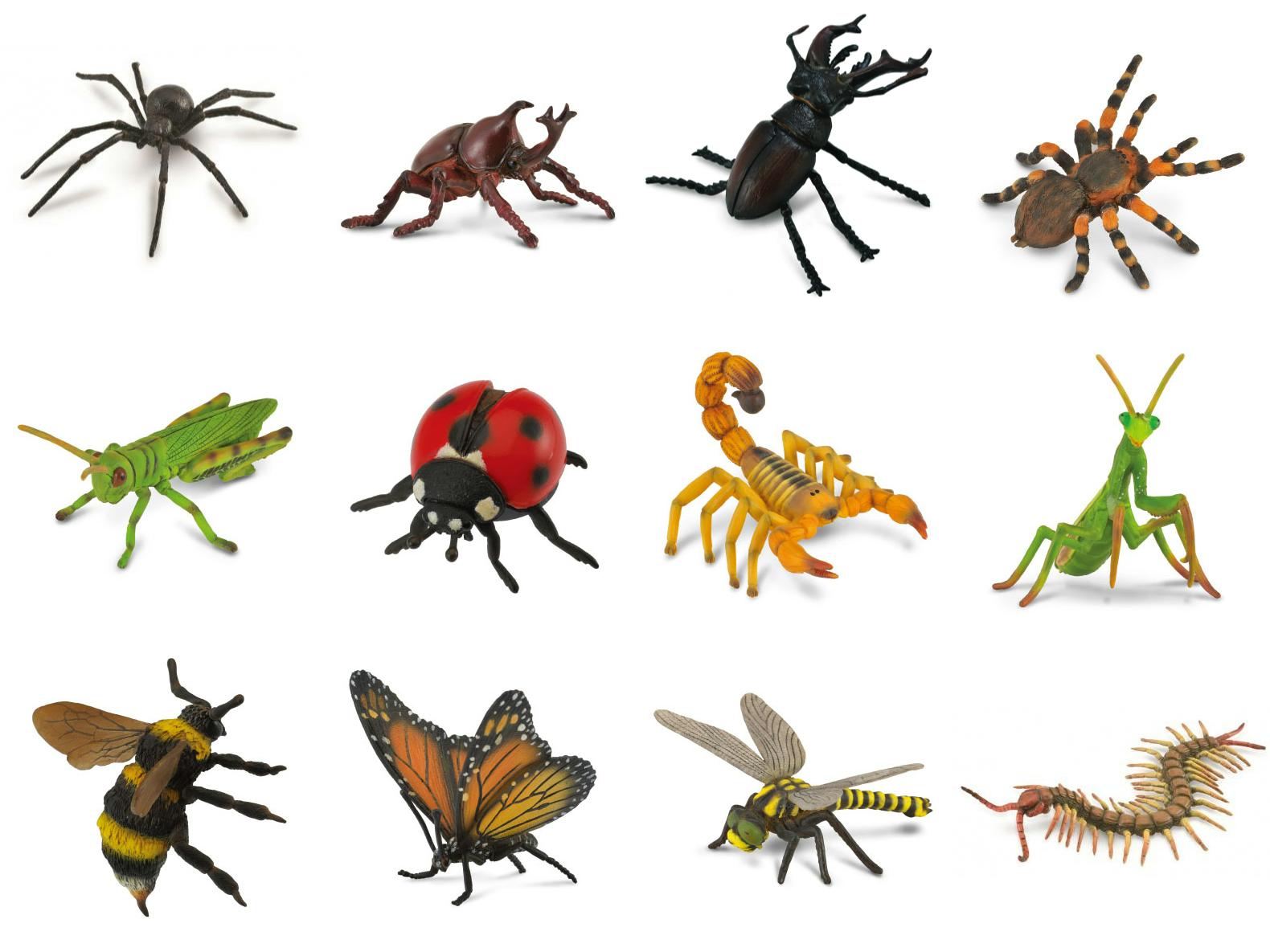 CollectA - Insects & Spiders - Large Set of 12