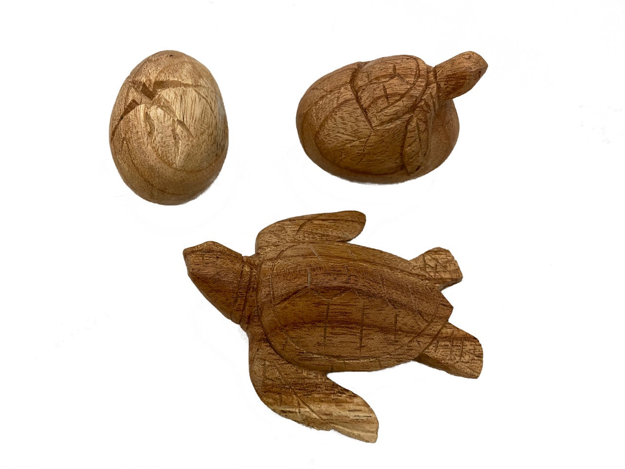 PAPOOSE - Turtle Life Cycle - Wooden Figures - 3 pc
