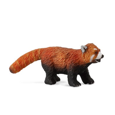CollectA-Asia-Red Panda