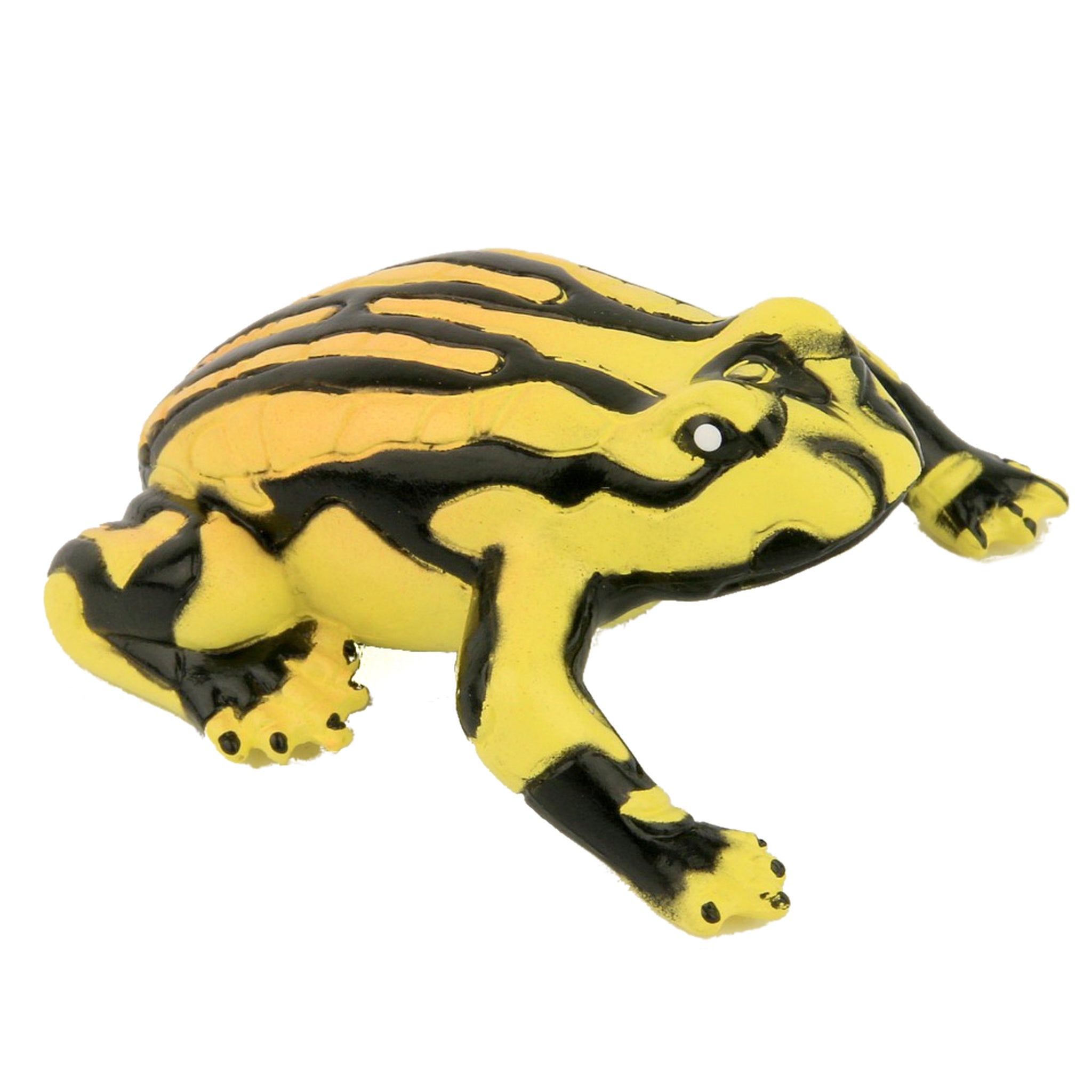Animals of Australia - Small Corroboree Frog