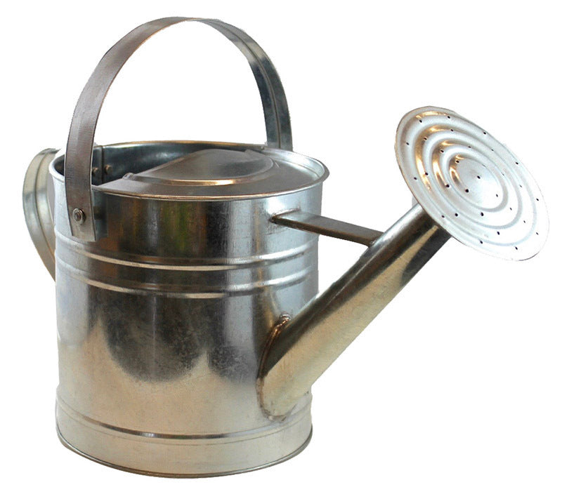 TWIGZ Pro-3L Galvanised Metal Watering Can