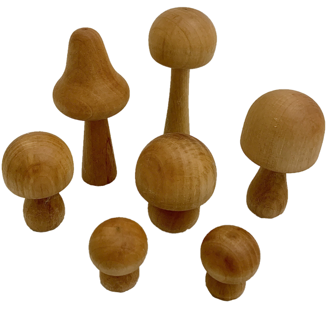 PAPOOSE - Mushrooms Natural - Set of 7