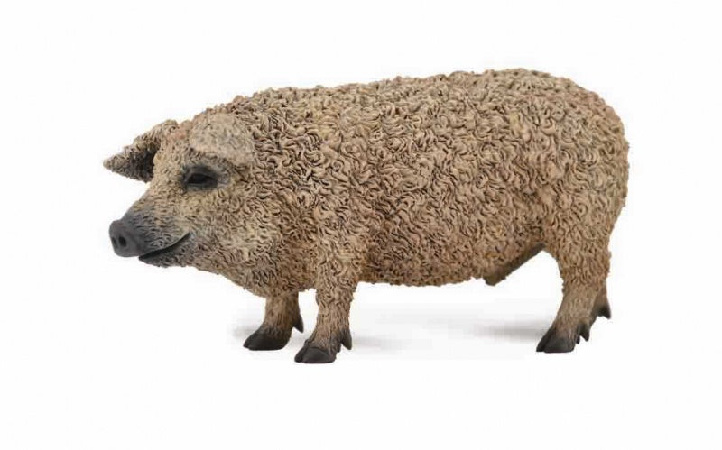 CollectA - Farm - Hungarian Pig