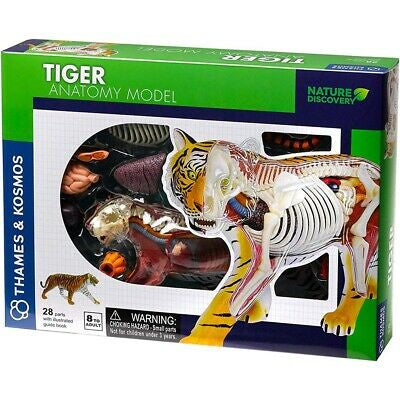 Thames and Kosmos - Animal anatomy - Tiger
