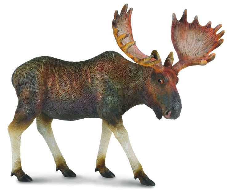 CollectA - Wildlife - Moose