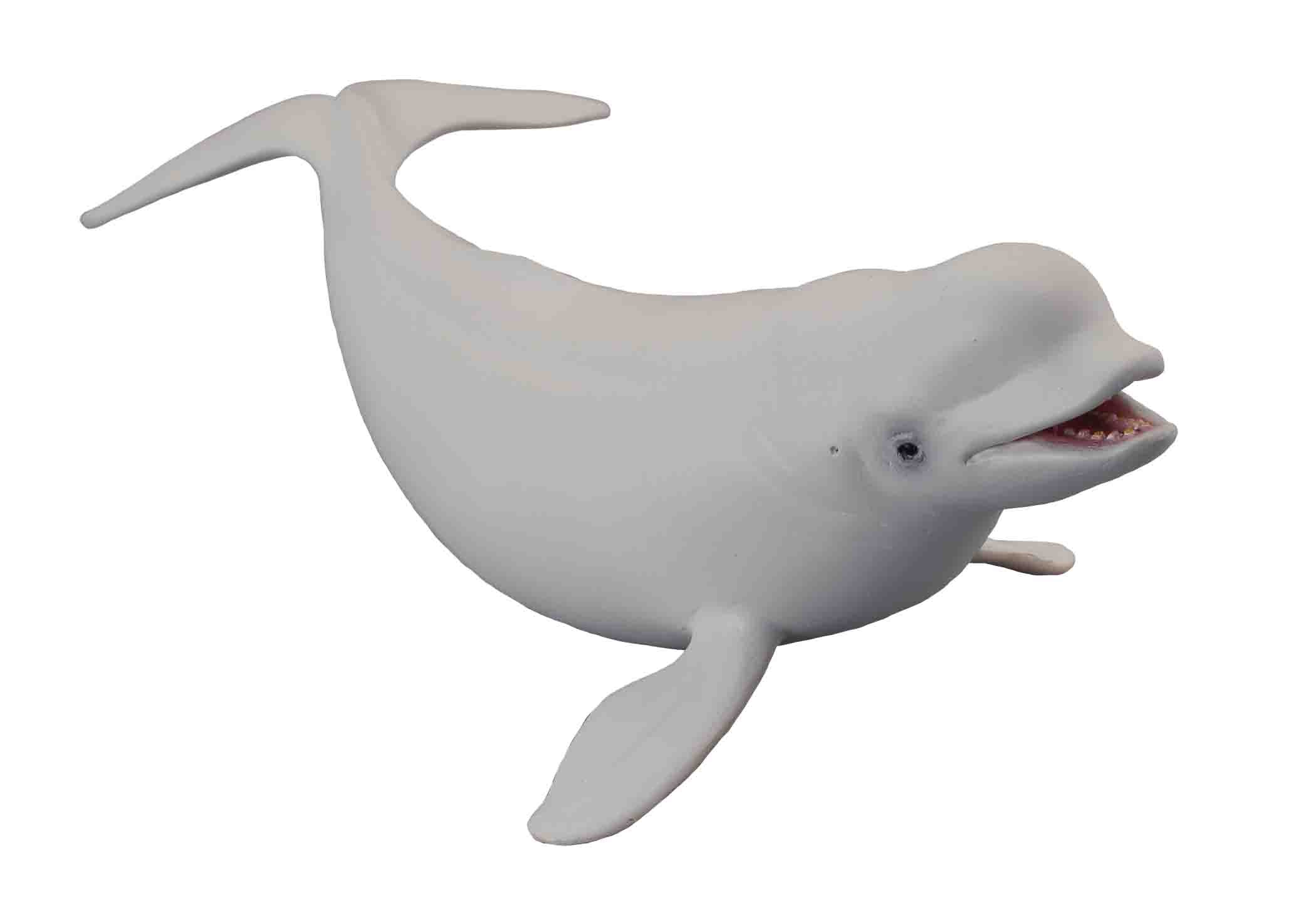 CollectA - Ocean & Polar - Beluga Whale