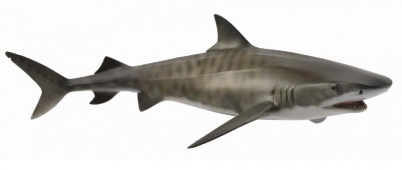 CollectA - Ocean - Tiger Shark