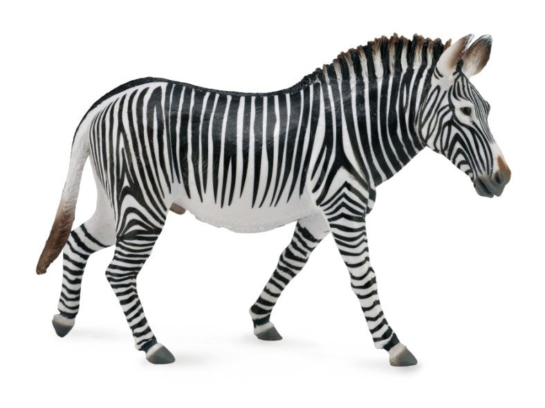 CollectA - Wildlife - Grevy's Zebra