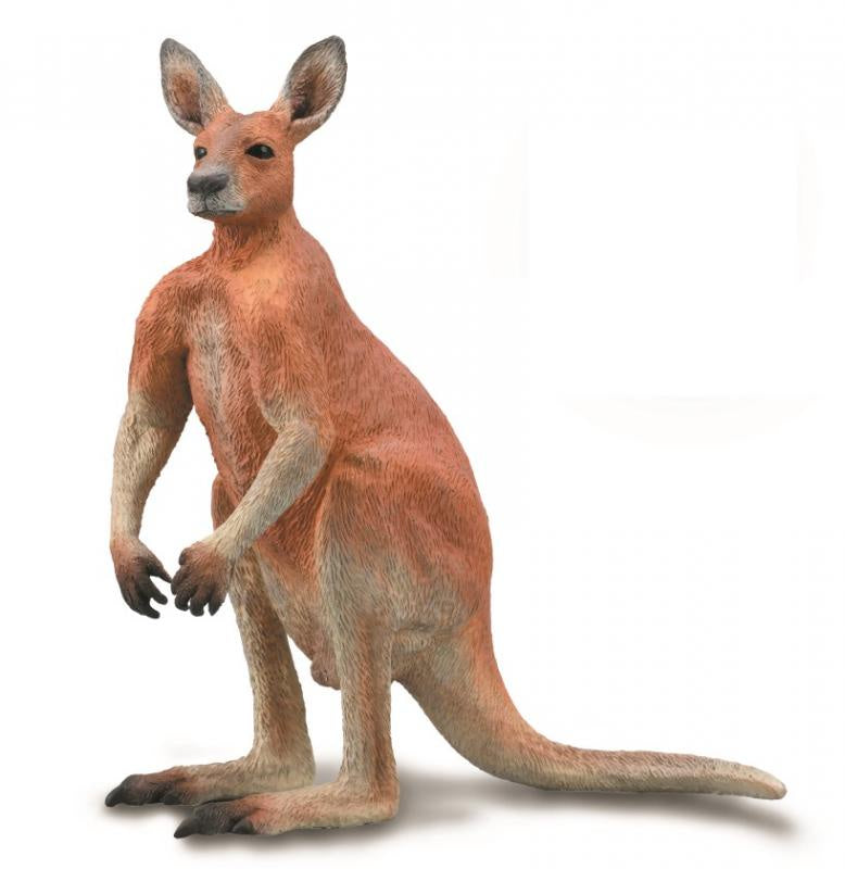 CollectA - Australian - Red Kangaroo - Male