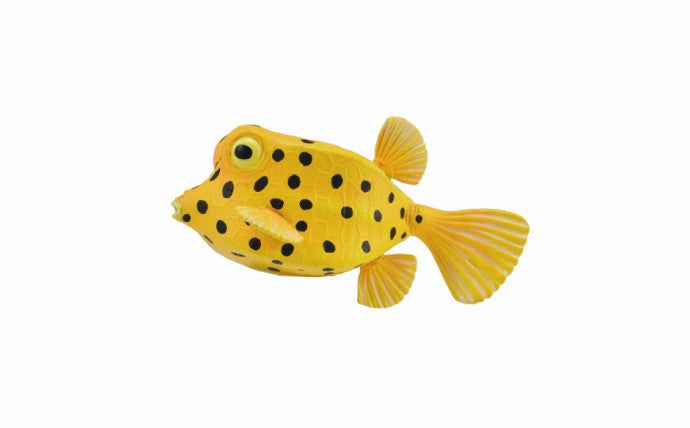 CollectA - Ocean - Boxfish