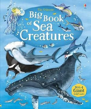 Big Book of Sea Creatures - Hardback
