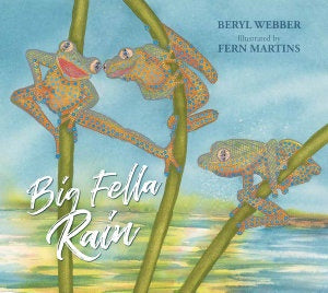 Big Fella Rain - Picture Book - Paperback