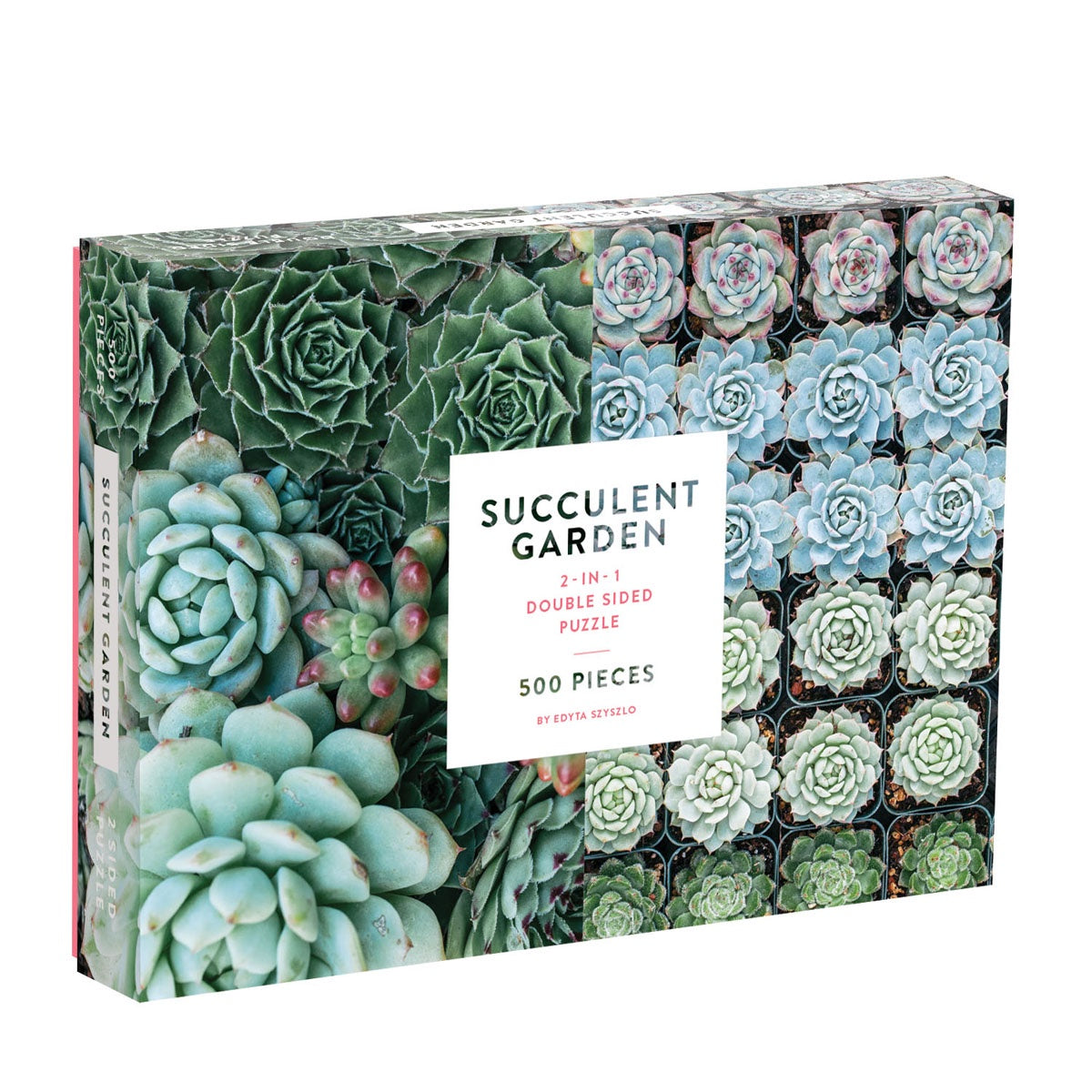 Products Galison Double-Sided Puzzle – Succulent Garden 500 Piece