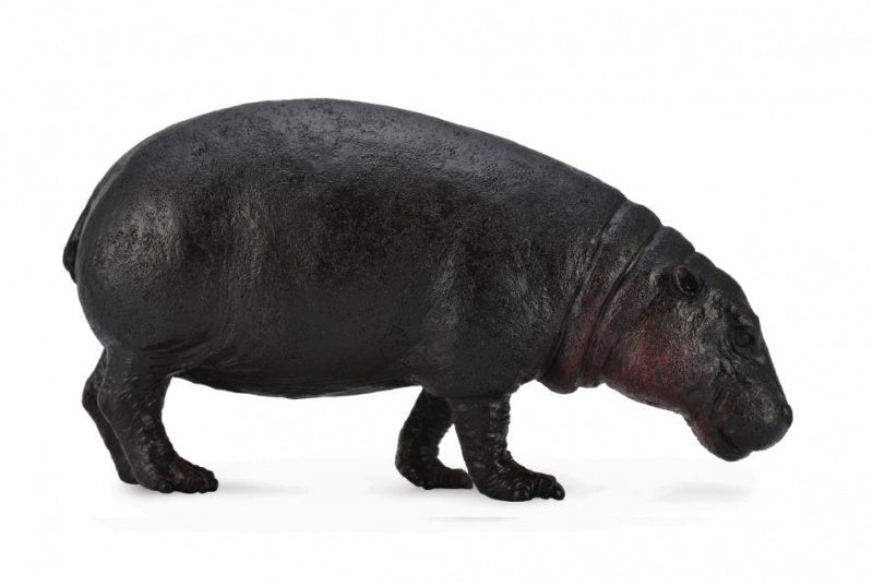 CollectA - Wildlife - Pygmy Hippopotamus