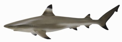 CollectA - Ocean - Blacktip Reef Shark