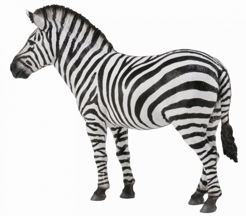 CollectA -  Wildlife - Common Zebra