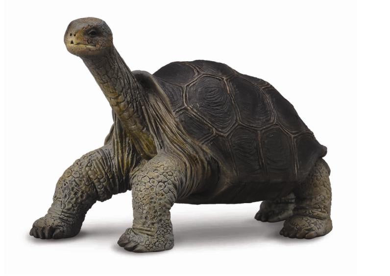 CollectA - Wildlife - Pinta Island Tortoise (Lonesome George)
