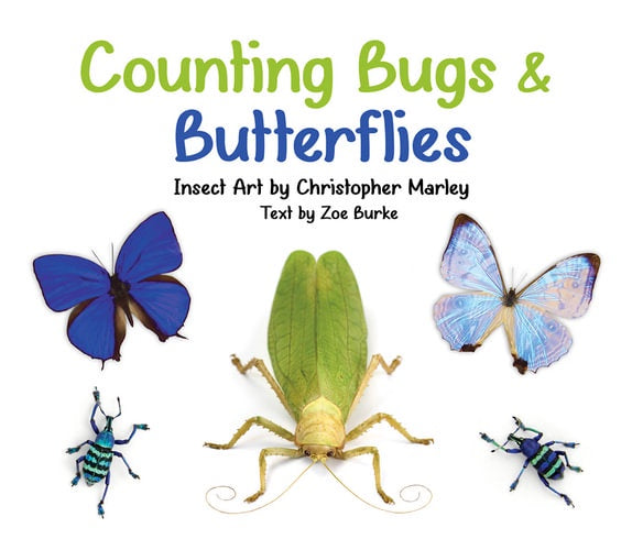 Counting Bugs & Butterflies - Board Book