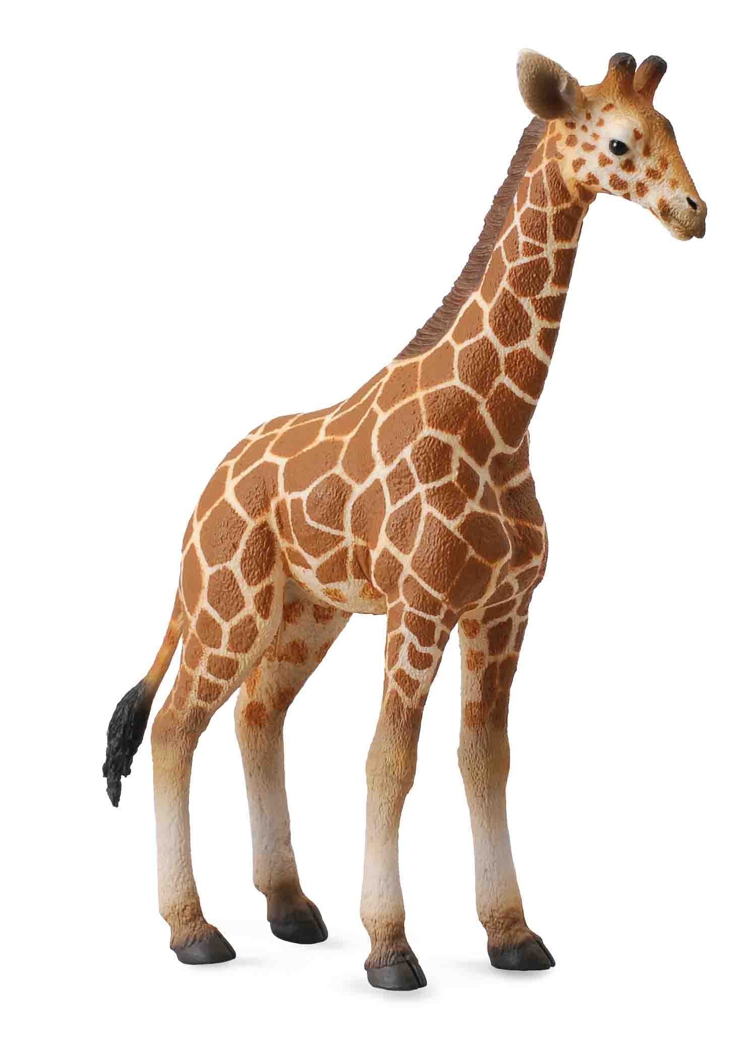 CollectA - Wildlife -  Giraffe Reticulated Calf